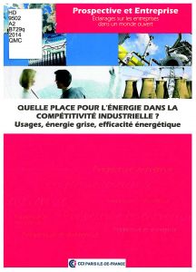 Quelle place pour la compétitivité industrielle?: usages, énergie grise, efficacité énergétique