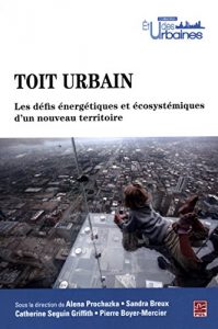 Image22_Toit-urbain