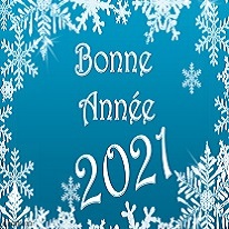 souhaits bonne année