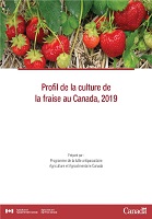 Profil de la culture de la fraise au Canada, 2019